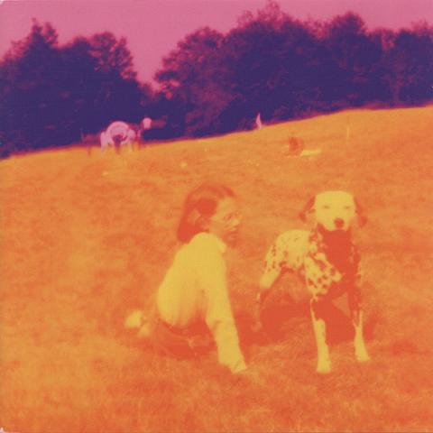 Cover Blinking Lights