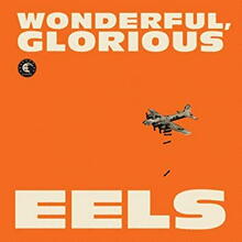 Cover Wonderful Glorious